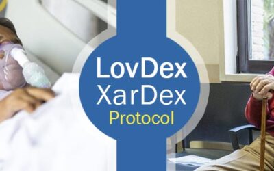 LovDex – XarDex Protocol