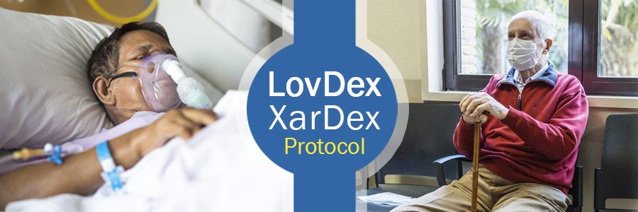 LovDex – XarDex Protocol